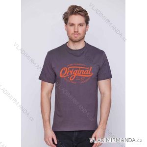 T-Shirt Kurzarm Herren (S-2XL) GLO-STORY GLO23MPO-P8164