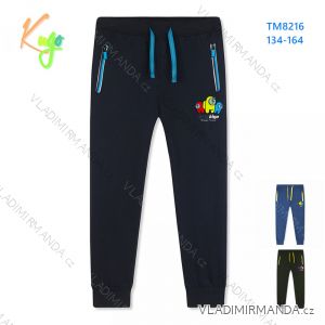 Jogginghose, leichte Jungen (134-164) KUGO ML7131