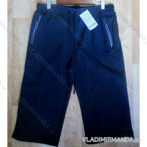 Herren Shorts Herren Baumwolle Übergroßen (xl-4xl) EPISTER 57078
